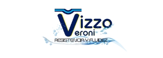 Vizoo Logo
